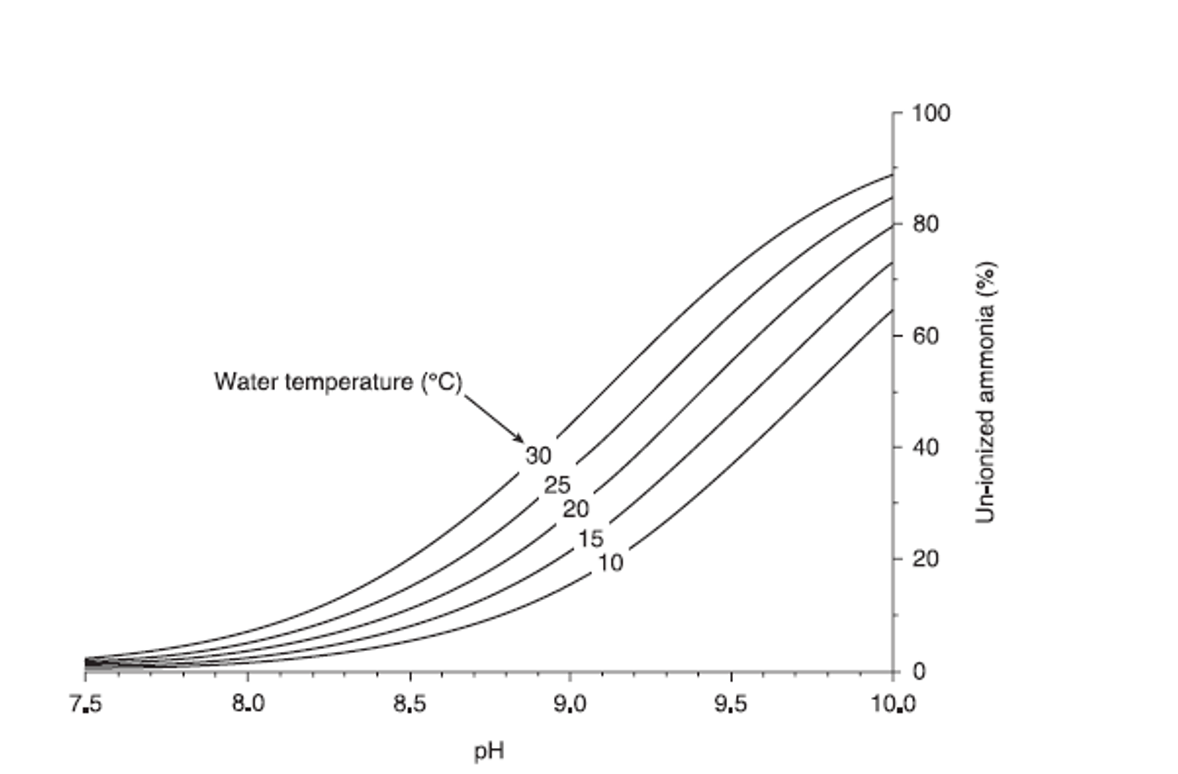 Graph showing increases in ammonia and pH concentrations as water temperatures rise